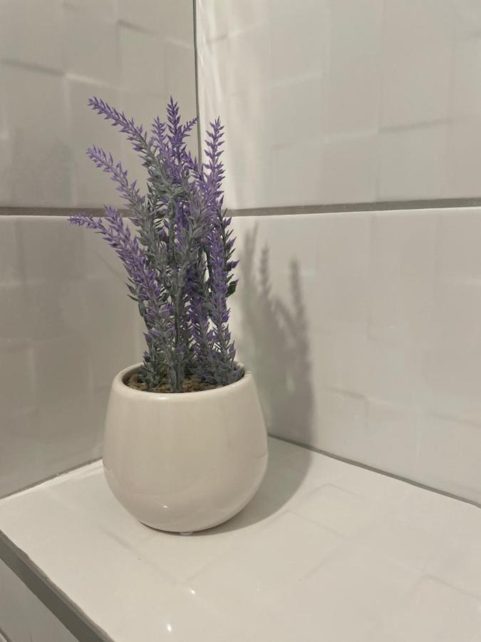 בלגרד Drinka Parlament Center Apartment מראה חיצוני תמונה